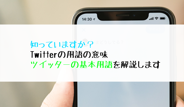 知っていますか Twitterの用語の意味 ツイッターの基本用語を解説します 十日町pのdtだったら何が悪い