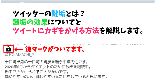 ツイッターの鍵垢とは 鍵垢についてとツイートにカギをかける方法を解説します 十日町pのdtだったら何が悪い